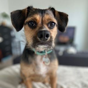 Meet your Posher, Joanne